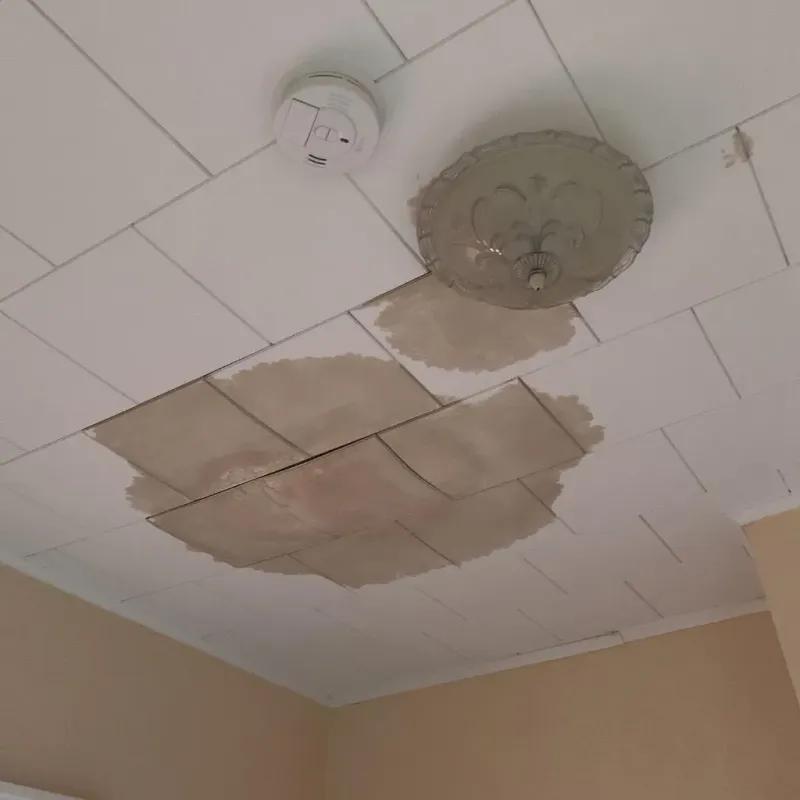 Ceiling Water Damage Repair in Frankfort, IN