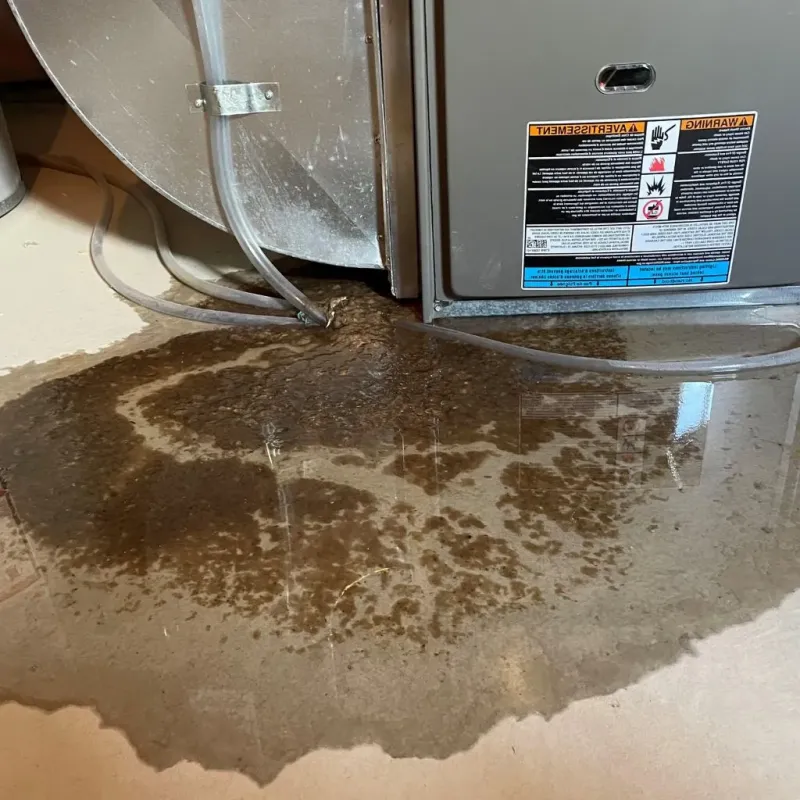 Pipe Burst and Leak Restoration in Frankfort, IN