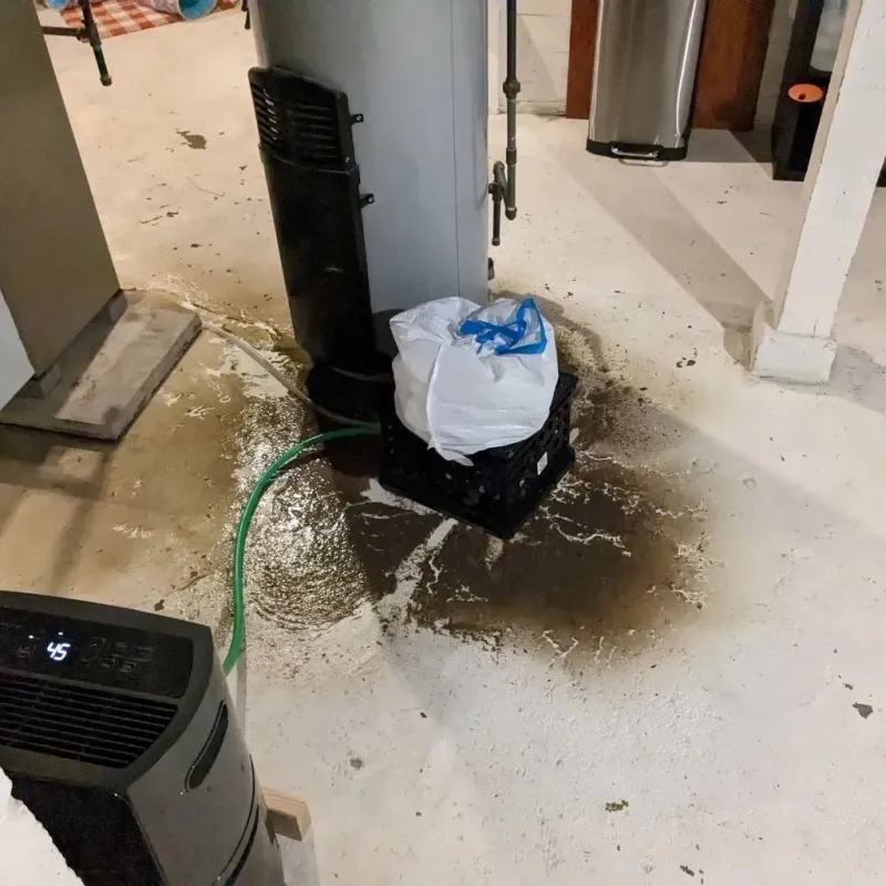 Sewage Backup Cleanup Service in Frankfort, IN